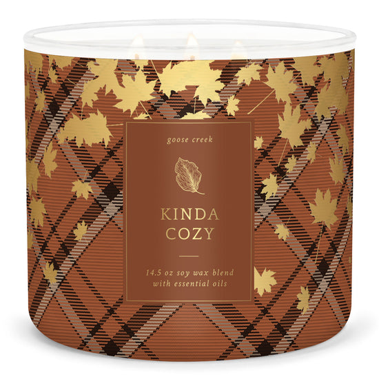 Kinda Cozy Large 3-Wick Candle