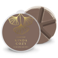 Kinda Cozy Wax Melt