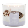 Load image into Gallery viewer, Kitten Cuddles 3-Wick Candle
