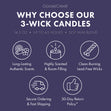 Load image into Gallery viewer, Lavender Twilight 3-Wick Candle
