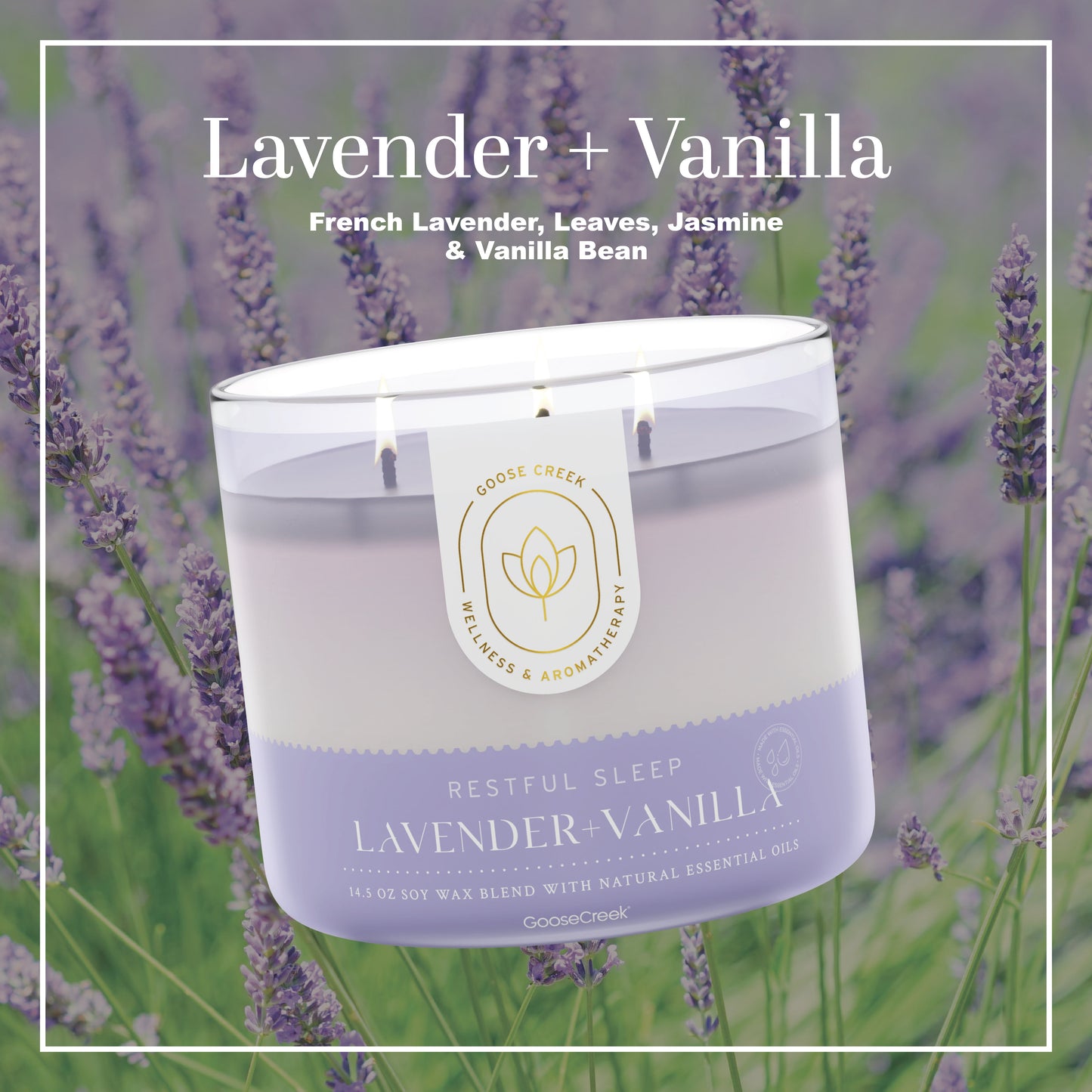 Lavender & Vanilla Aromatherapy 3-Wick Candle