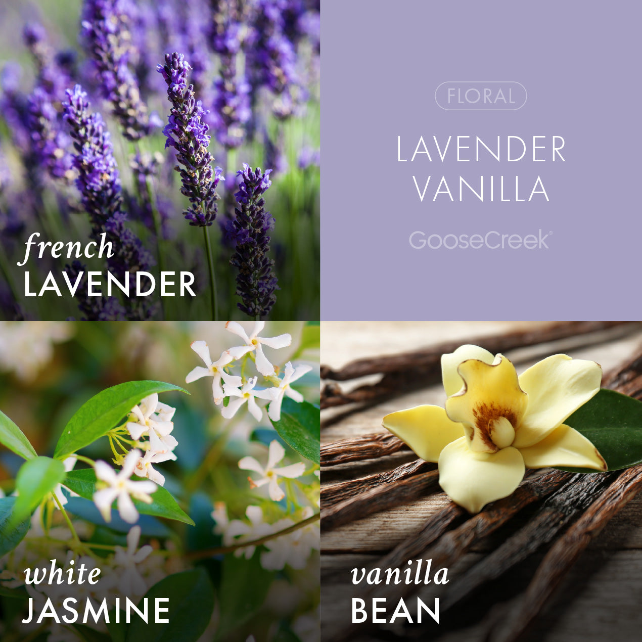 Lavender & Vanilla Aromatherapy 3-Wick Candle