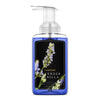 Lavender Vanilla Lush Foaming Hand Soap