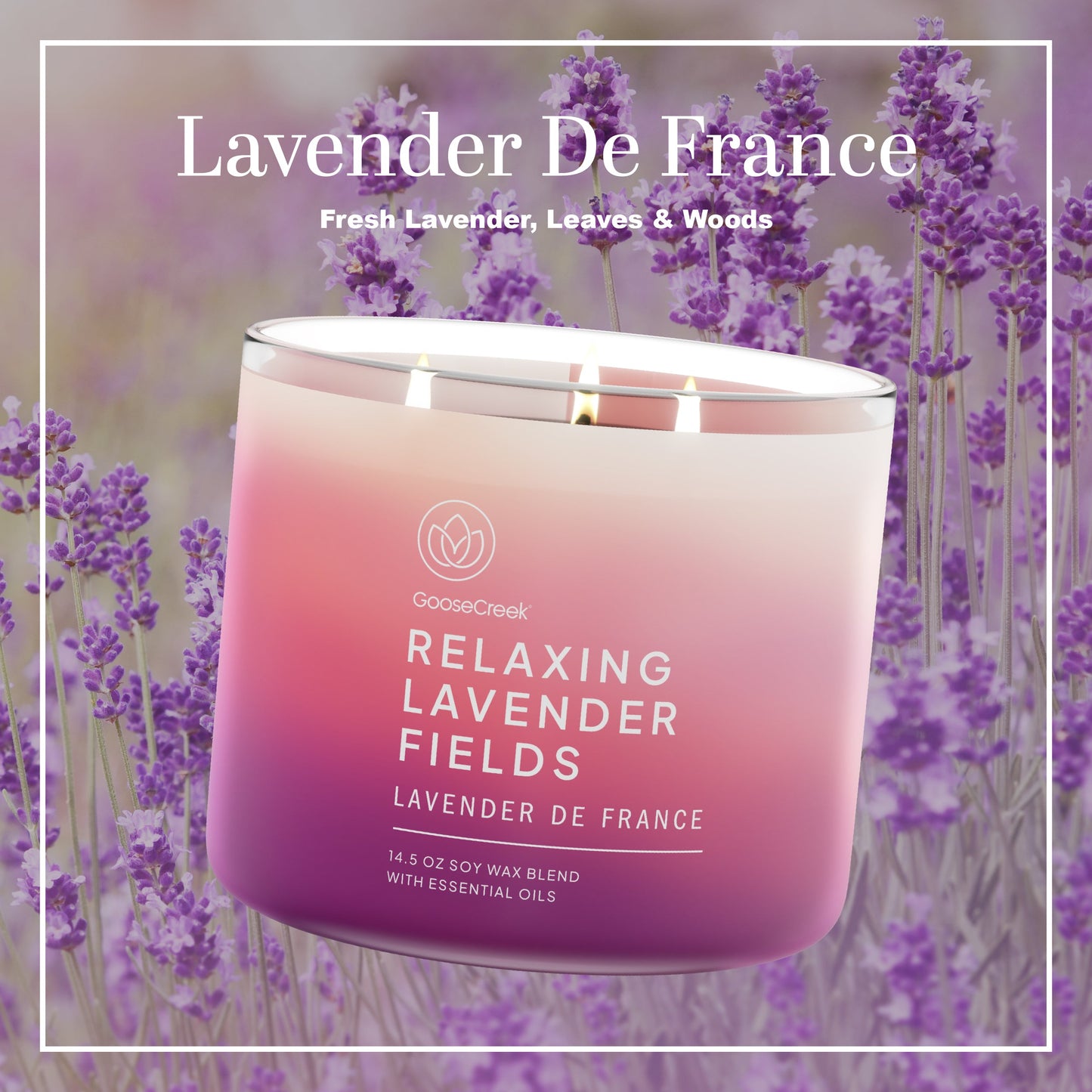 Lavender de France Large 3-Wick Candle