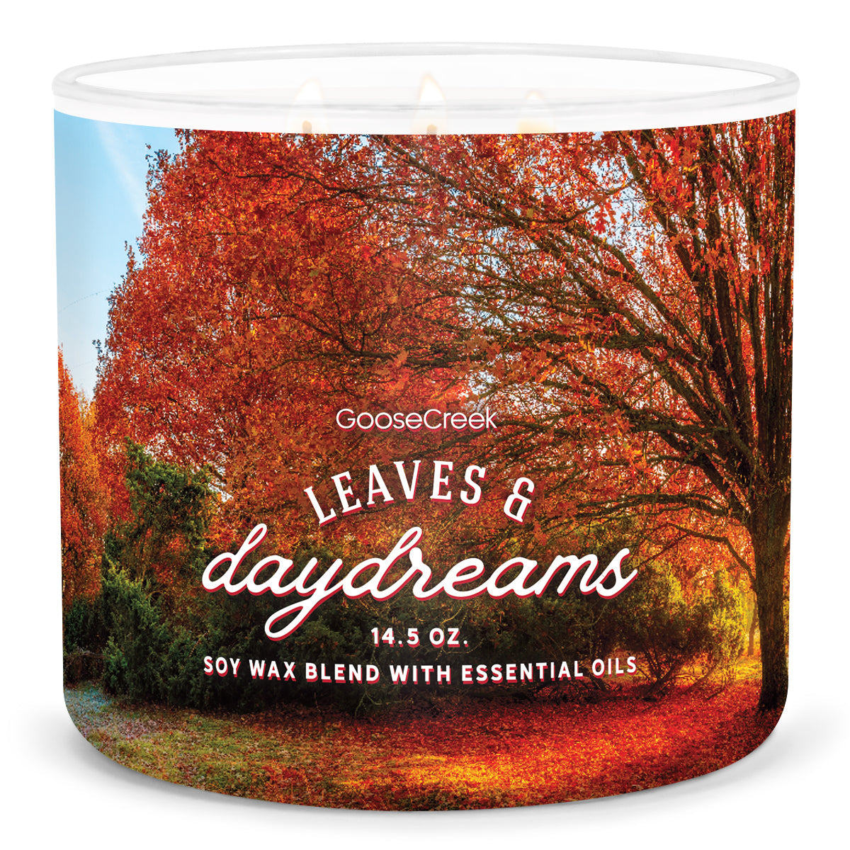 Load image into Gallery viewer, Leaves &amp;amp; Daydreams Large 3-Wick Candle
