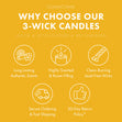 Lemon Meringue Strawberry Shortcake 3-Wick Candle