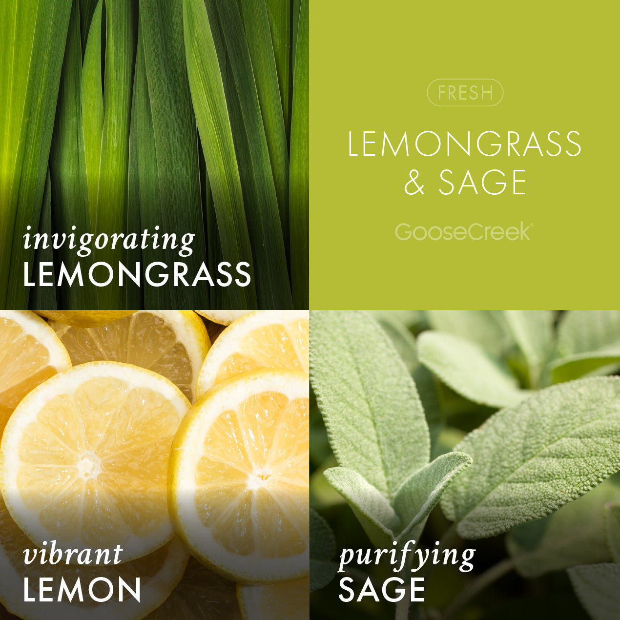 Lemongrass & Sage Aromatherapy 3-Wick Candle