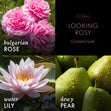 Load image into Gallery viewer, Looking Rosy 3-Wick Candle
