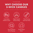Lumberjack 3-Wick Candle