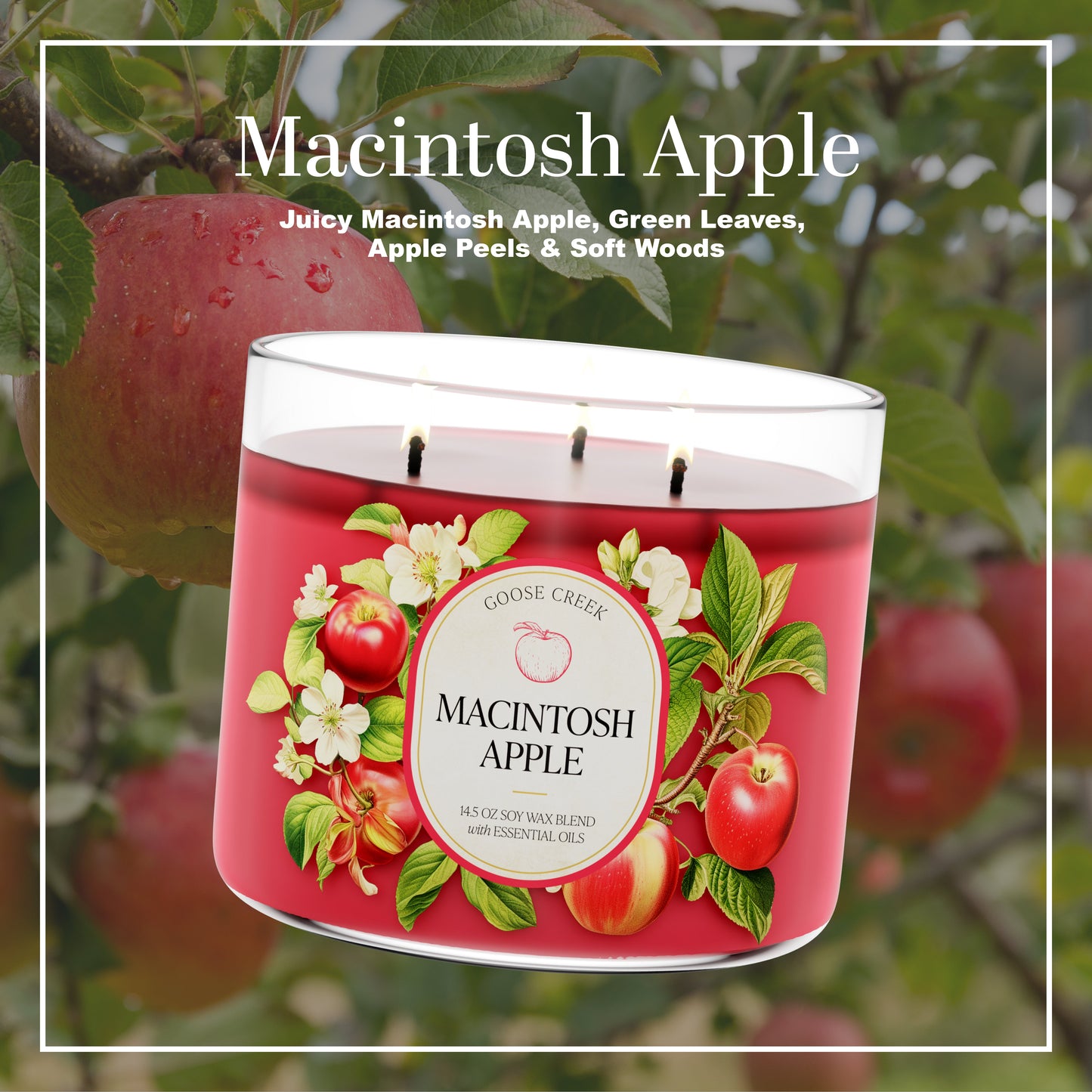 Macintosh Apple 3-Wick Candle