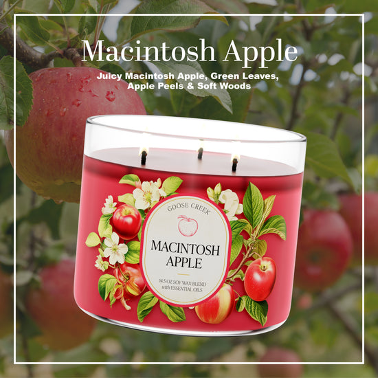 Macintosh Apple 3-Wick Candle