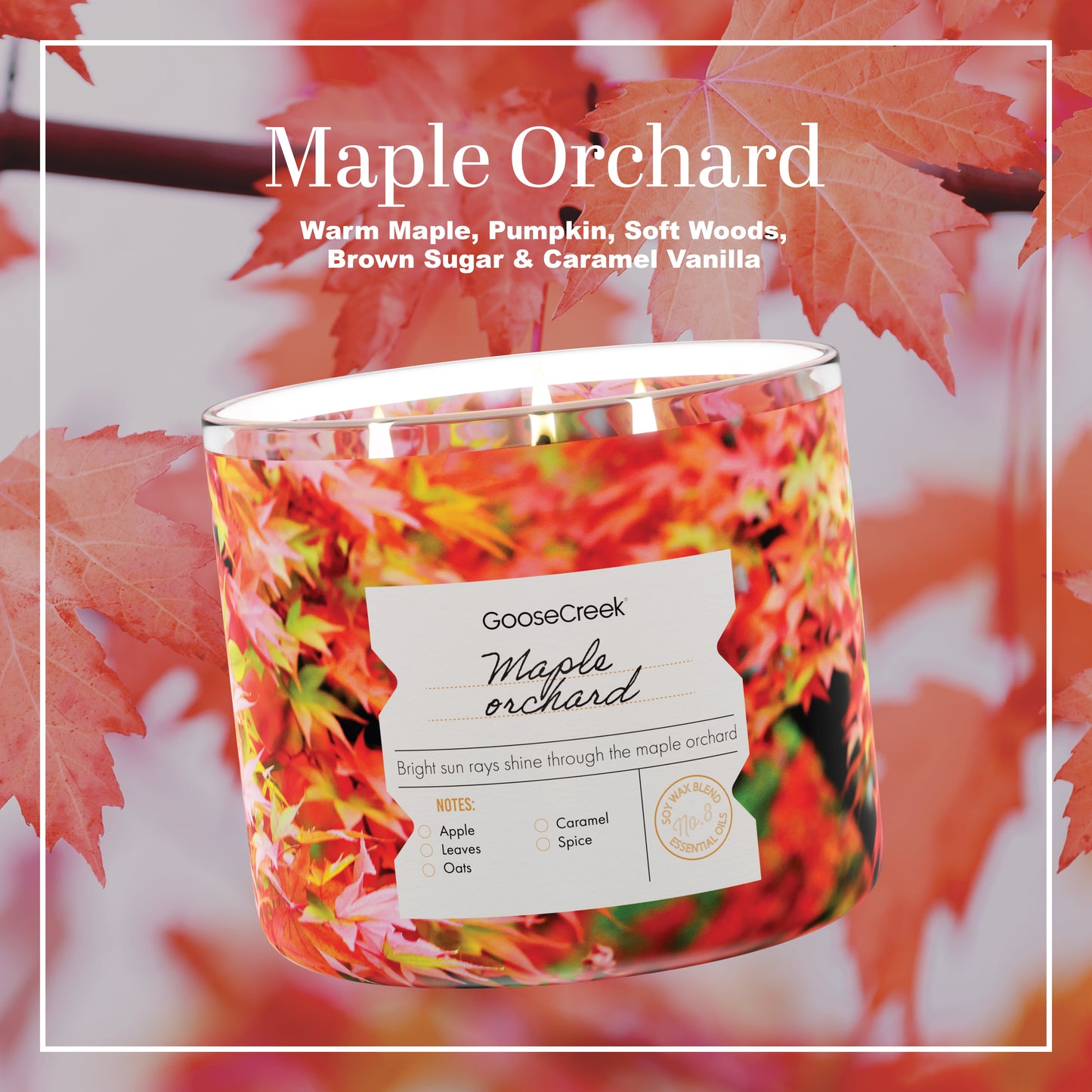 Maple Orchard 3-Wick Candle