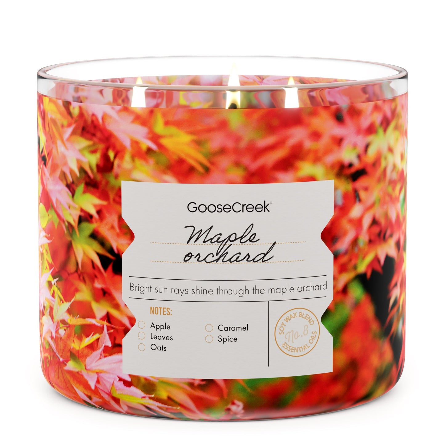 Maple Orchard 3-Wick Candle