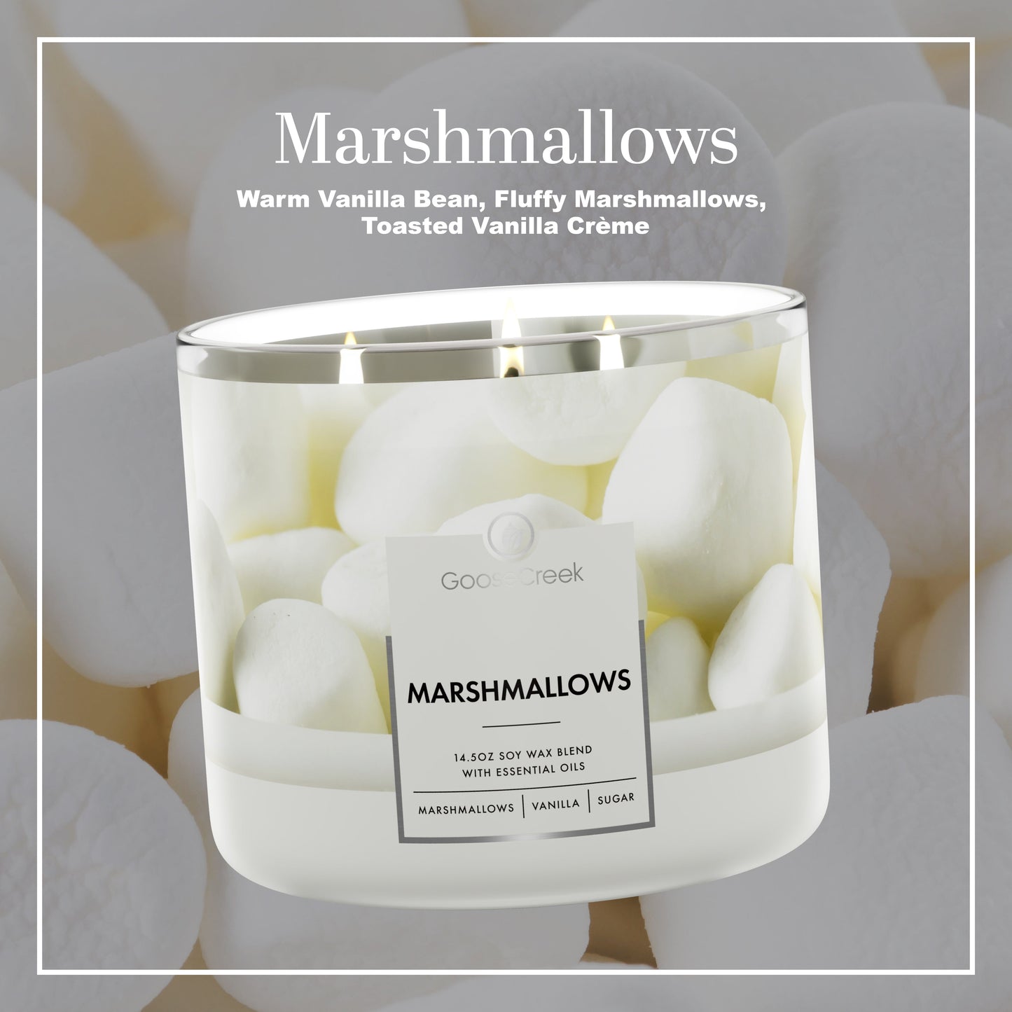 Marshmallow Sugar 3-Wick Candle