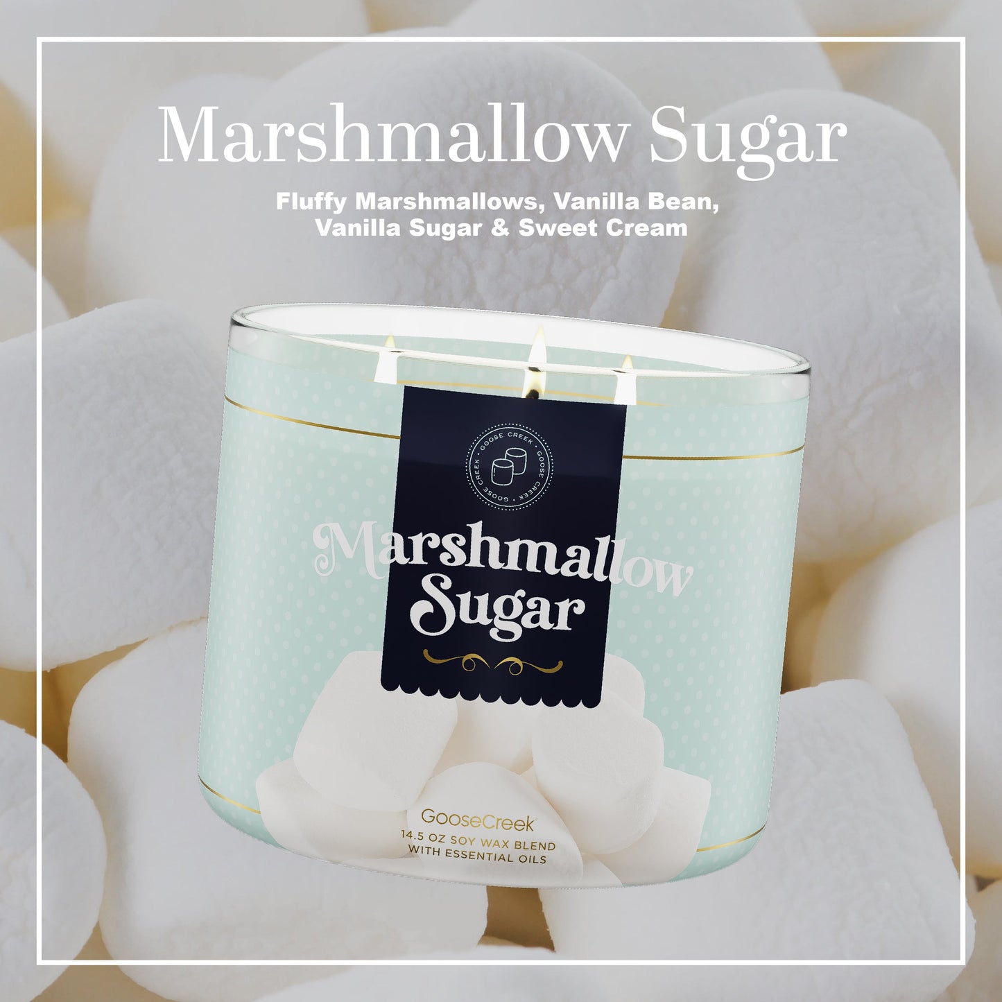 Marshmallow Sugar 3-Wick Candle