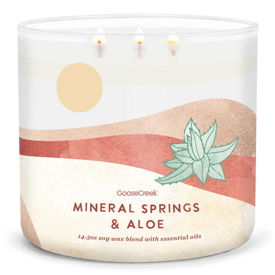 Mineral Springs & Aloe Large 3-Wick Candle