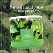 Load image into Gallery viewer, Minted Eucalyptus 3-Wick Candle
