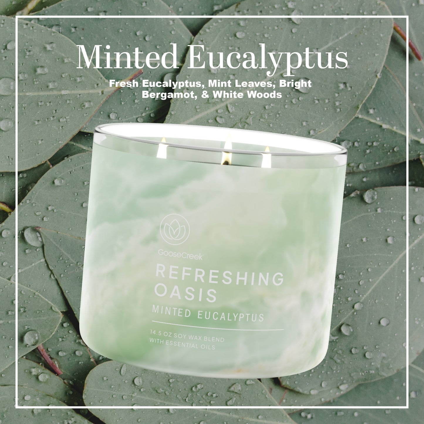 Minted Eucalyptus 3-Wick Candle