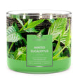 Load image into Gallery viewer, Minted Eucalyptus 3-Wick Candle
