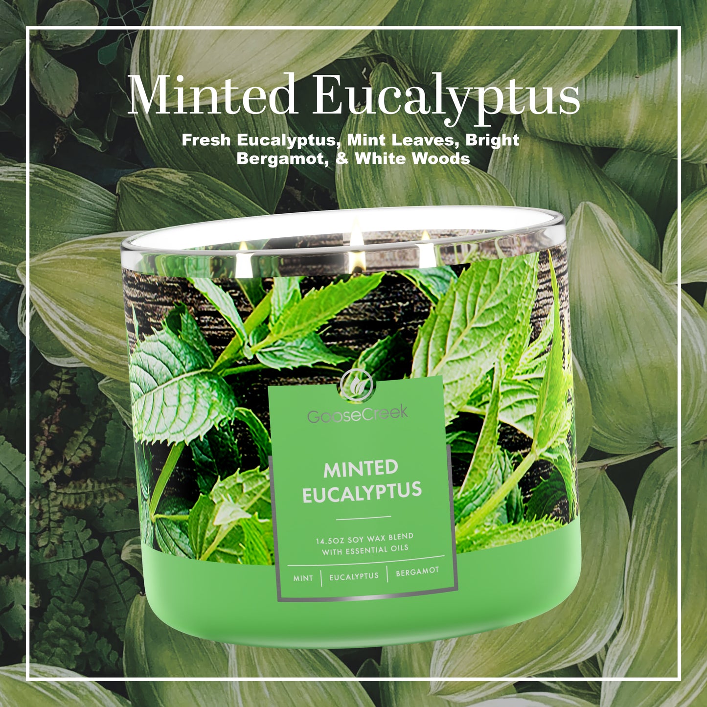 Minted Eucalyptus Large 3-Wick Candle