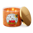 Load image into Gallery viewer, Napping with Snoopy 3-Wick Peanuts Candle
