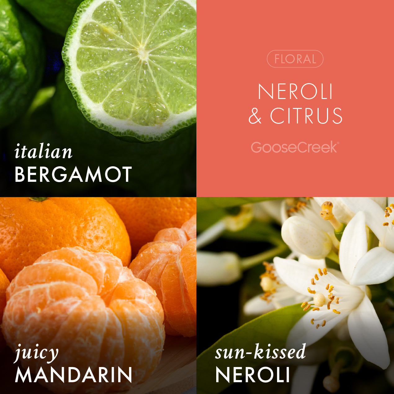 Neroli & Citrus Aromatherapy 3-Wick Candle