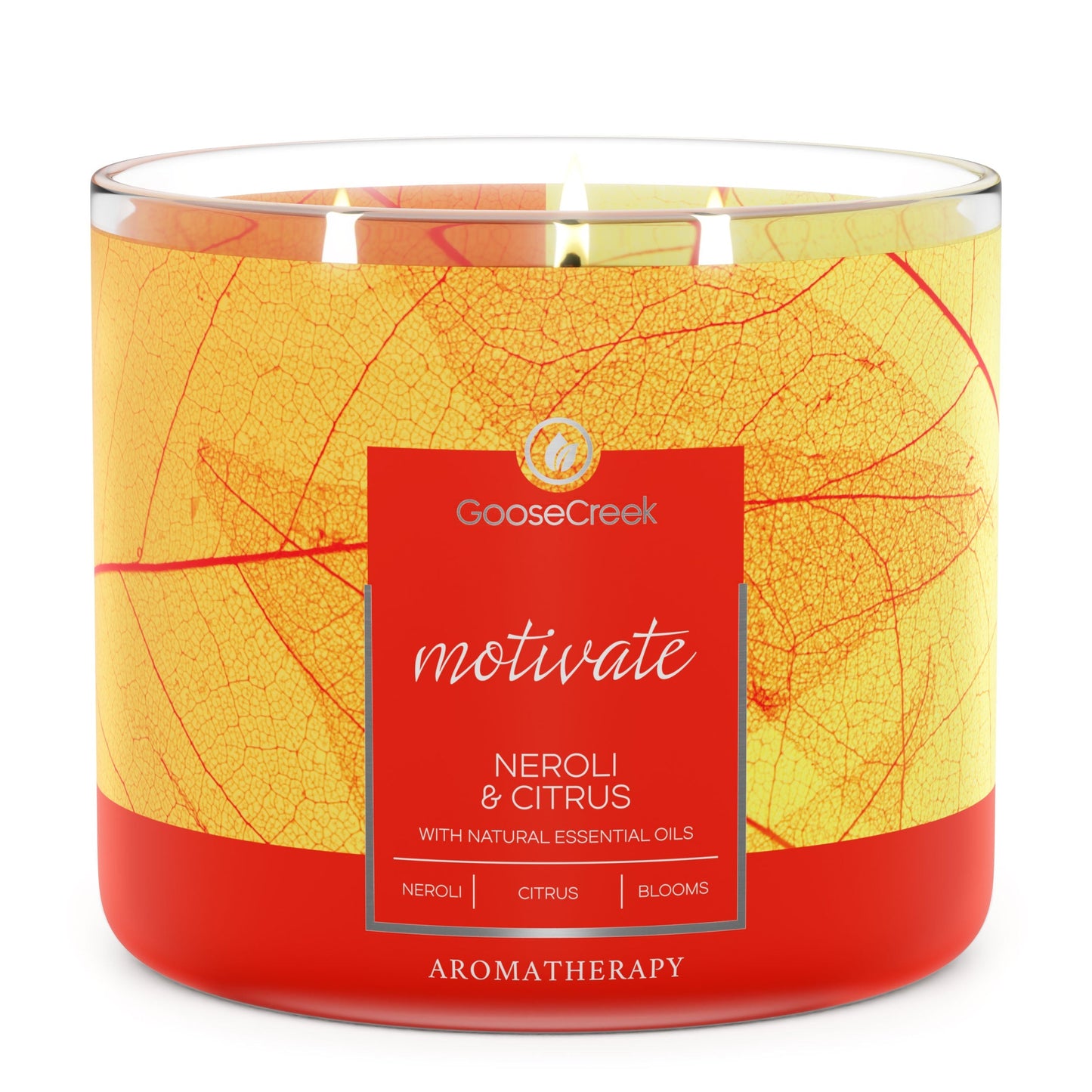 Neroli & Citrus Aromatherapy 3-Wick Candle