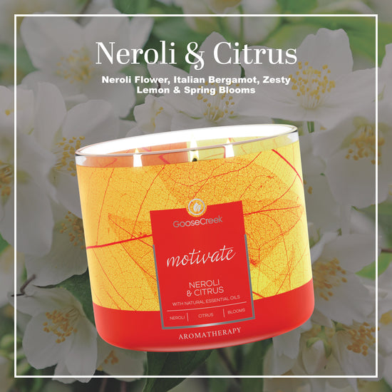 Neroli & Citrus Aromatherapy Large 3-Wick Candle