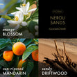 Load image into Gallery viewer, Neroli Sands 3-Wick Candle
