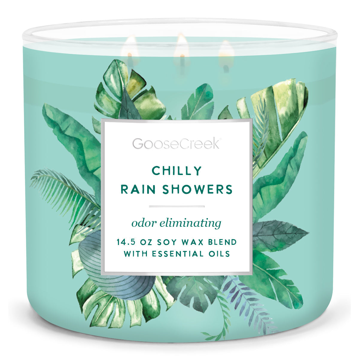Load image into Gallery viewer, Odor Eliminating - Chilly Rain Showers Large 3-Wick Candle
