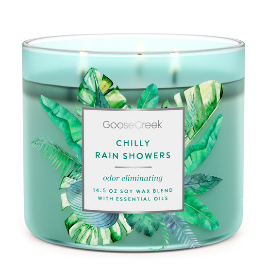 Load image into Gallery viewer, Odor Eliminating - Chilly Rain Showers Large 3-Wick Candle
