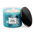 Load image into Gallery viewer, Odor Eliminating Cliffside Sea Spray 3-Wick Candle
