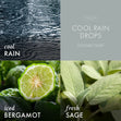 Load image into Gallery viewer, Odor Eliminating Cool Rain Drops 3-Wick Candle
