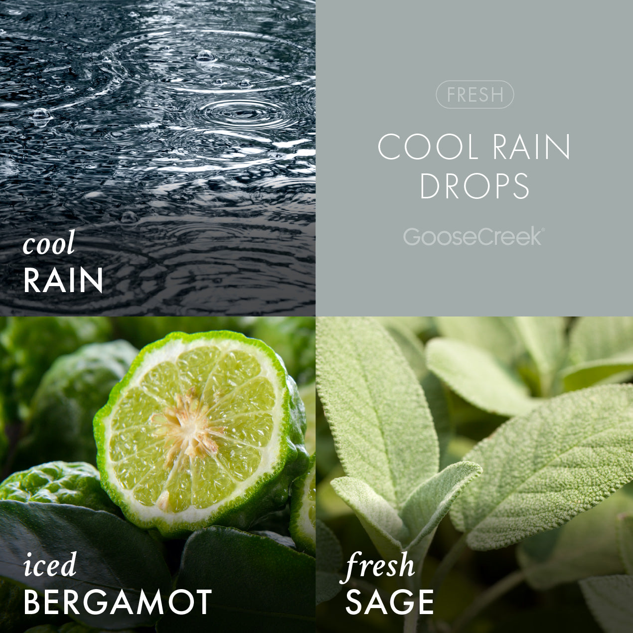 Odor Eliminating Cool Rain Drops 3-Wick Candle