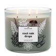 Load image into Gallery viewer, Odor Eliminating Cool Rain Drops 3-Wick Candle
