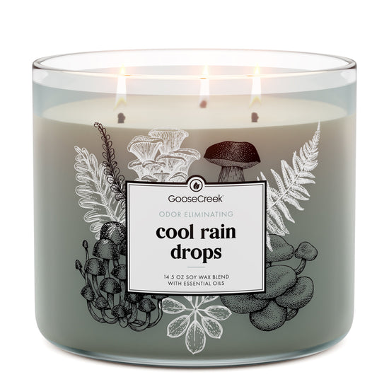 Odor Eliminating Cool Rain Drops 3-Wick Candle