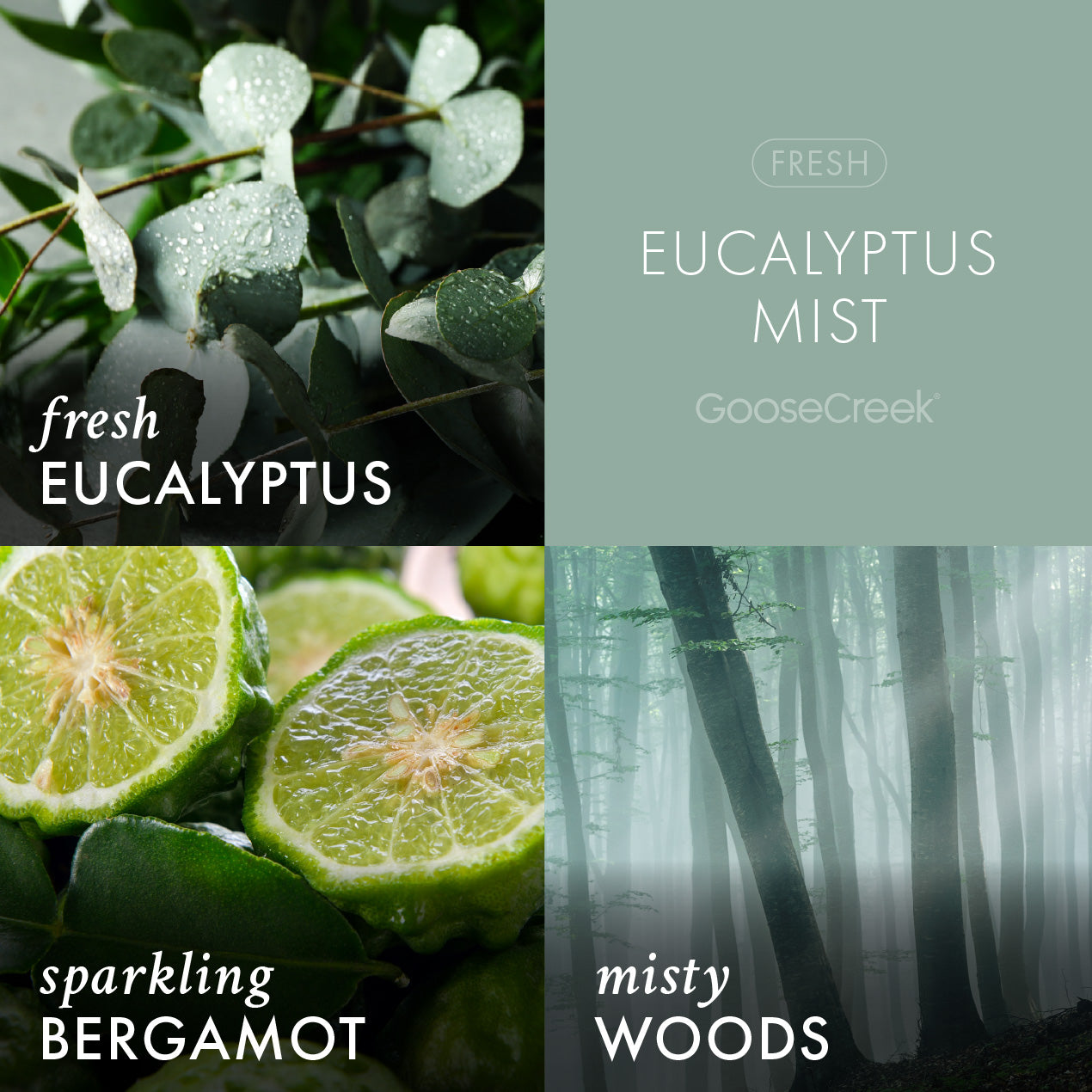 Odor Eliminating Eucalyptus Mist 3-Wick Candle