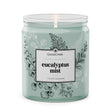 Load image into Gallery viewer, Odor Eliminating Eucalyptus Mist 7oz Single Wick Candle

