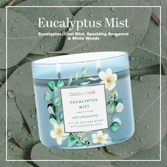 Odor Eliminating - Eucalyptus Mist Large 3-Wick Candle