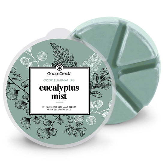 Odor Eliminating Eucalyptus Mist Wax Melt