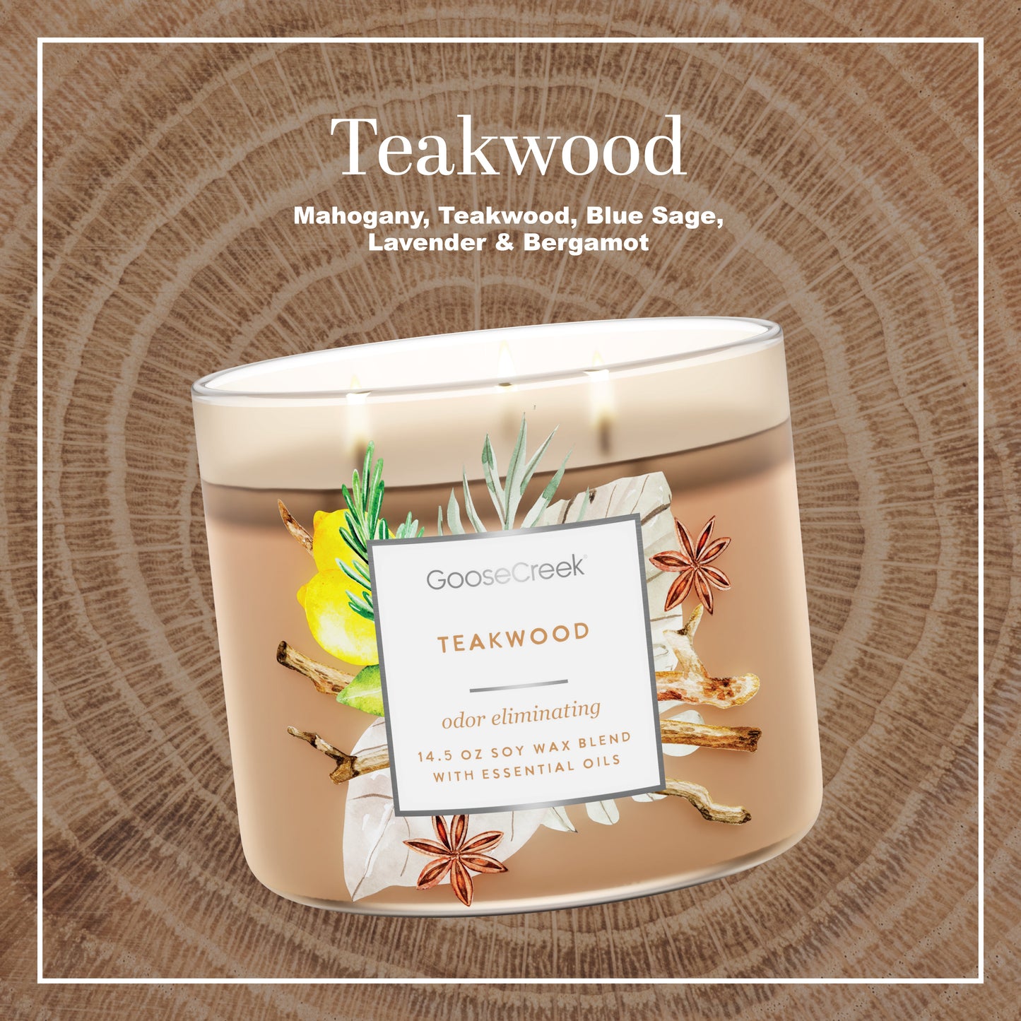 Odor Eliminating - Teakwood 3-Wick Candle