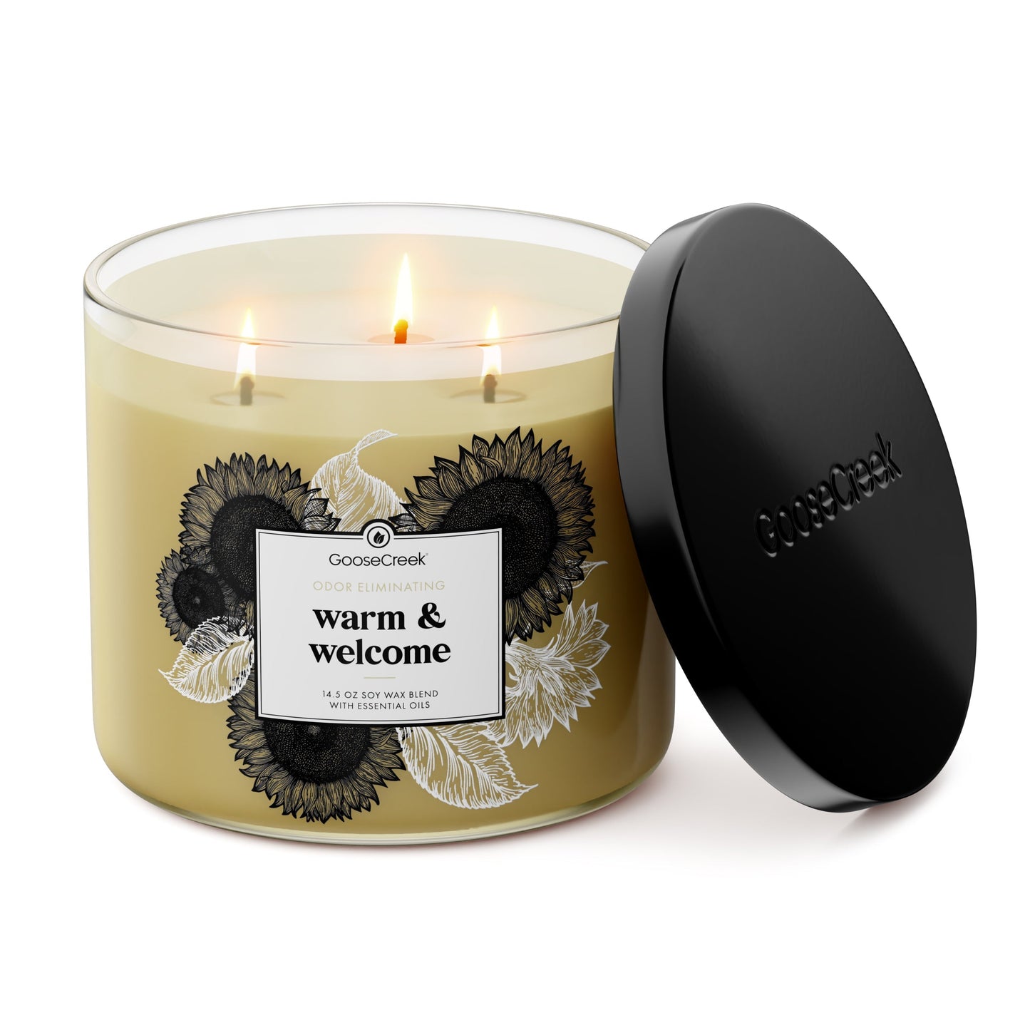 Odor Eliminating Warm & Welcome 3-Wick Candle