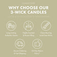 Load image into Gallery viewer, Odor Eliminating Warm &amp;amp; Welcome 3-Wick Candle
