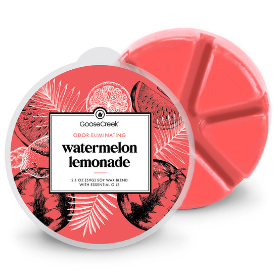 Odor Eliminating Watermelon Lemonade Wax Melt