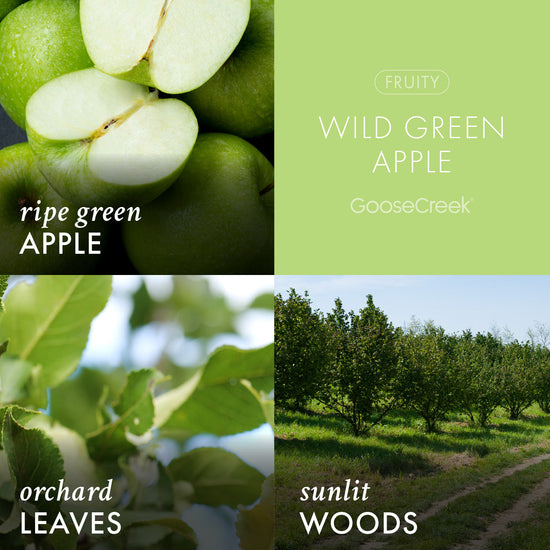 Odor Eliminating Wild Green Apple 3-Wick Candle