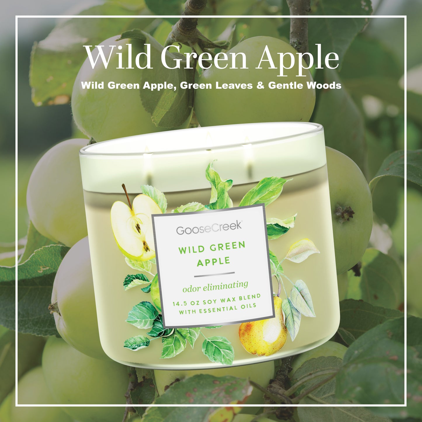 Odor Eliminating - Wild Green Apple Large 3-Wick Candle