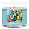 Optimistic Vibes Large 3-Wick Candle