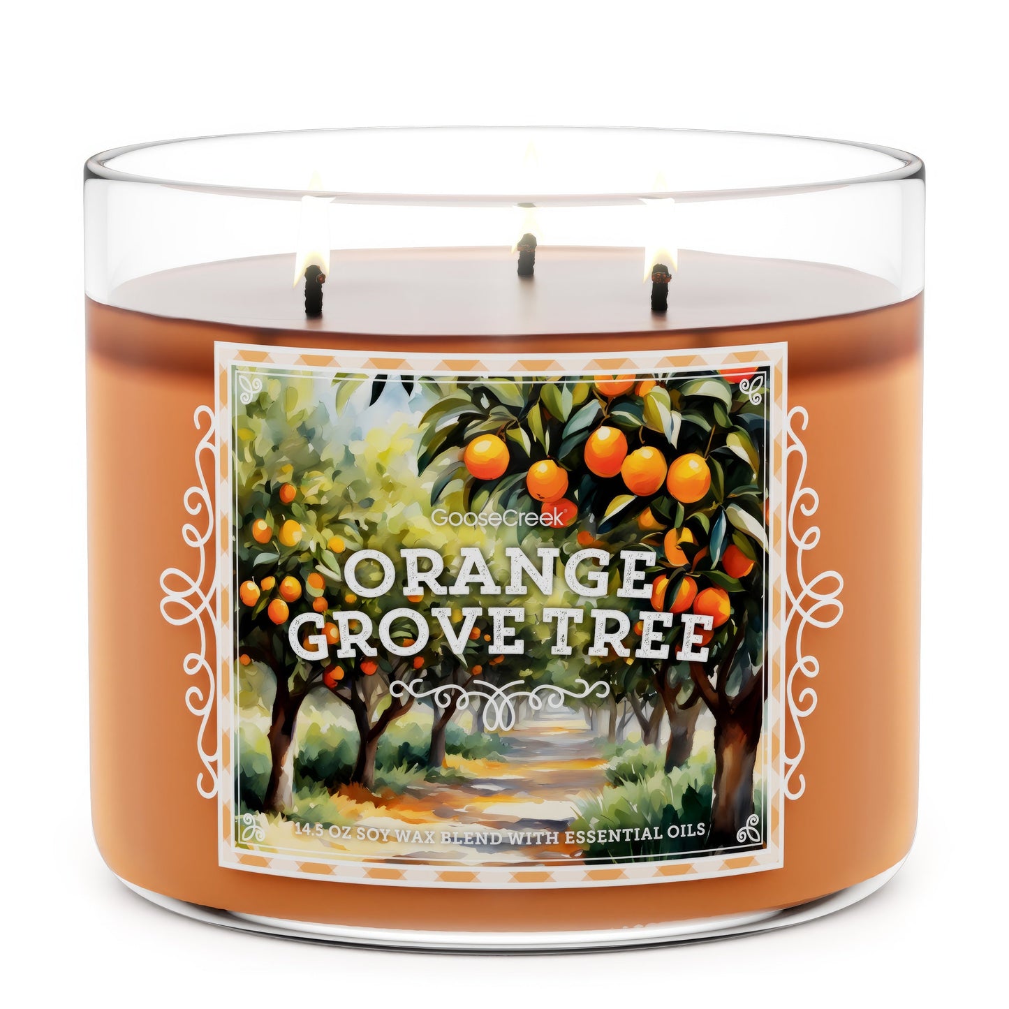 Orange Grove Tree Large 3-Wick Candle
