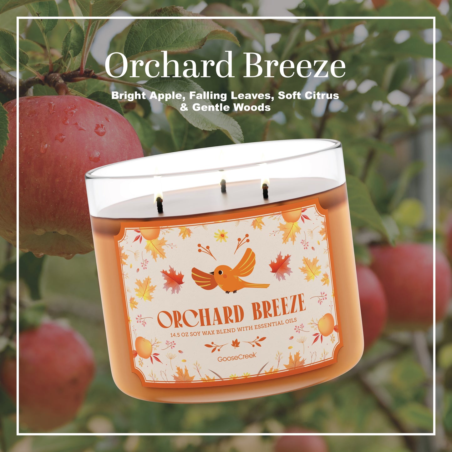 Orchard Breeze 3-Wick Candle