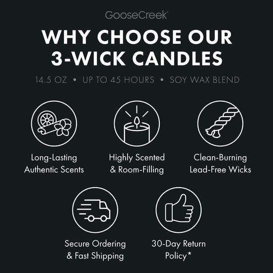 Palo Santo Coconut 3-Wick Candle